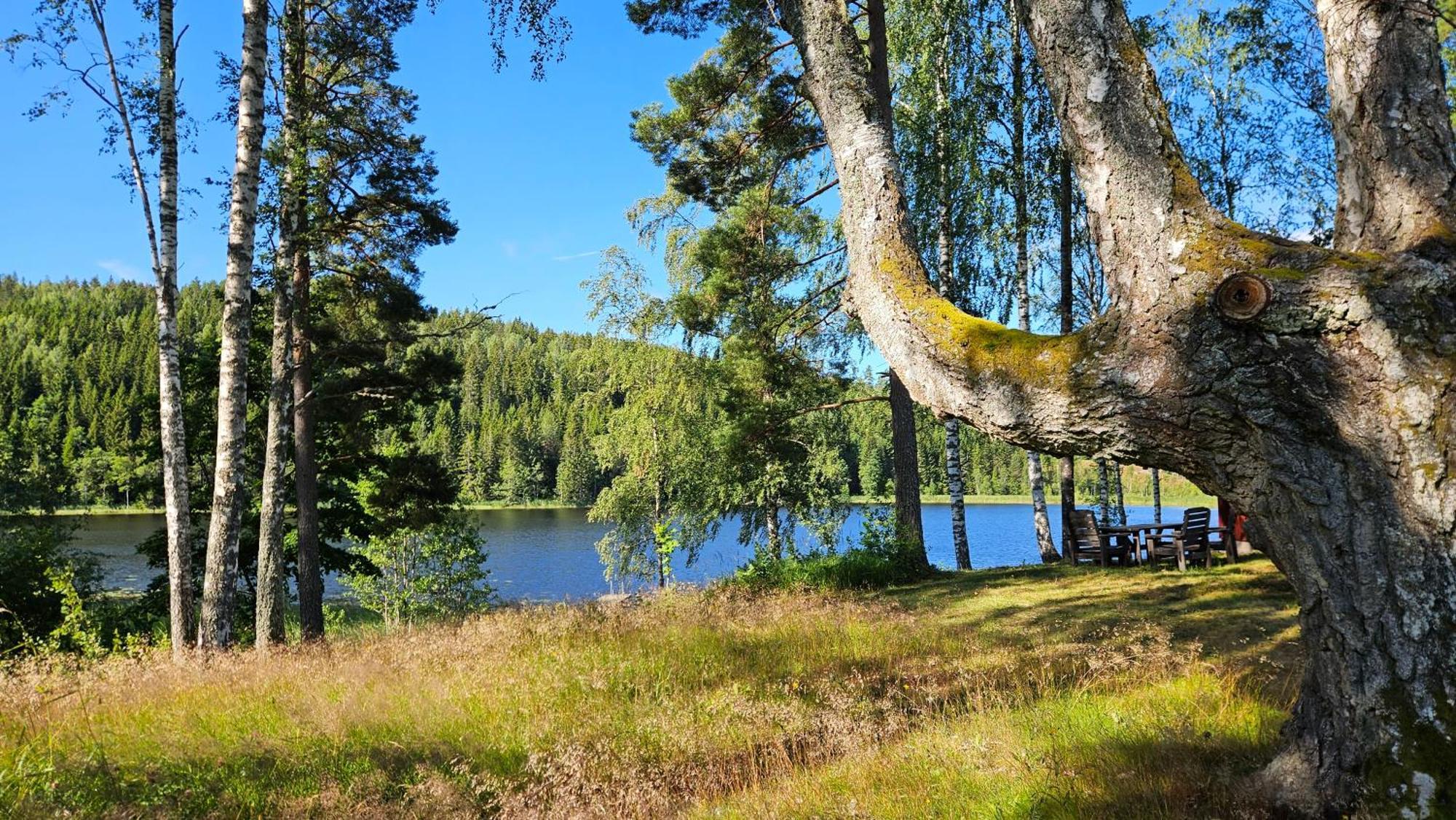 Kilsborgs Gard - Lakehouse Svanskog Bagian luar foto